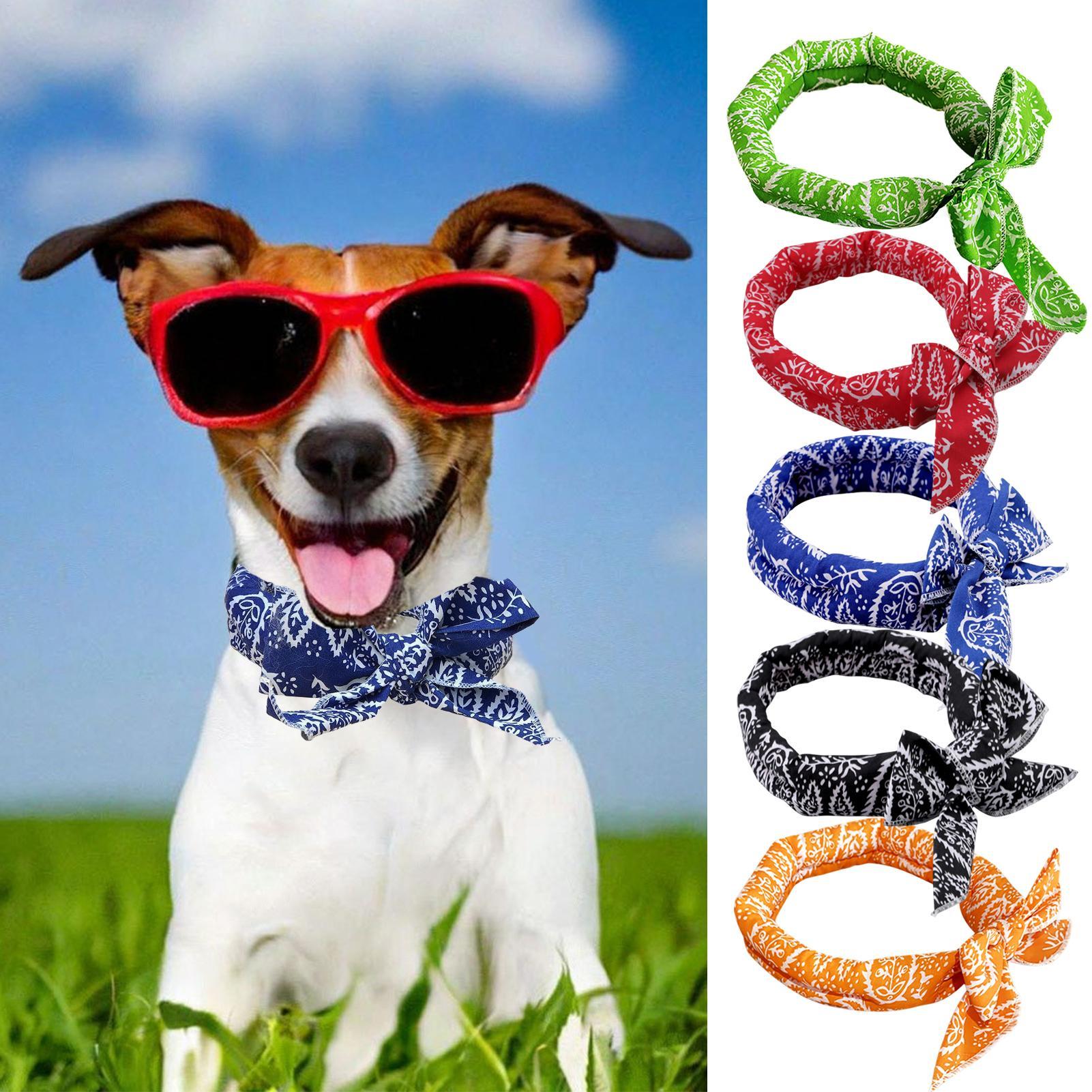 Dog Bandana Scarf - Kühlendes Bandana für Hunde: Sofort atmungsaktives