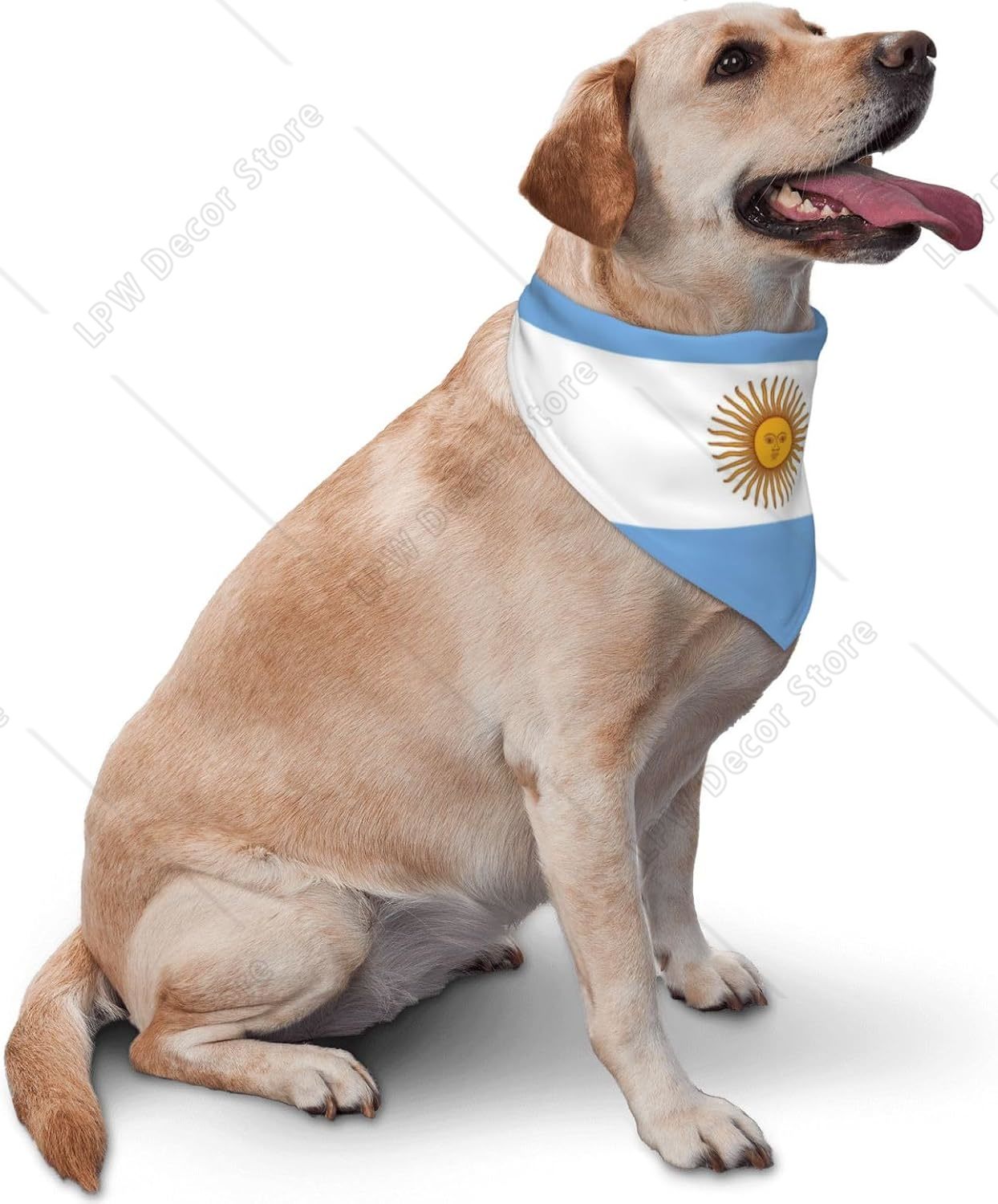 Argentinien-Flagge Hundehalstu – Dog Bandana Scarf Bewertung und Preis