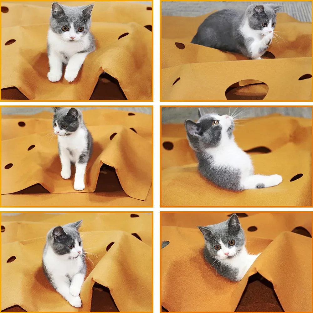 Katze Spielen Spiel Matte Haus – Cat Litter Mat Bewertung und Preis