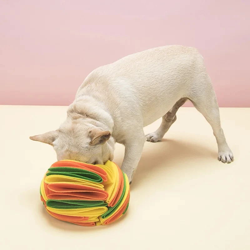 Schnüffelball-Matte für Hunde, – Cat Litter Mat Bewertung und Preis