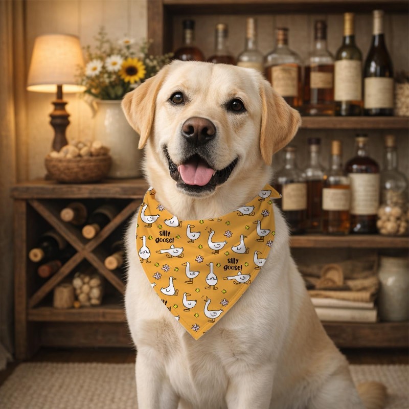 Hundehalstuch mit Niedlichem G – Dog Bandana Scarf Bewertung und Preis