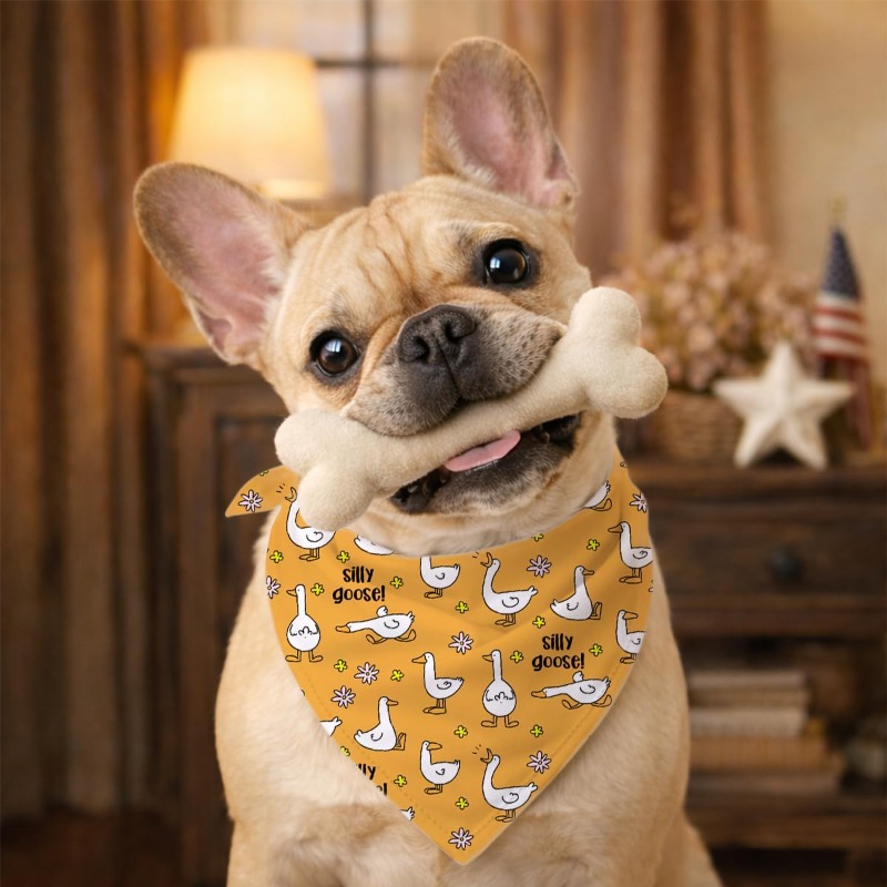 Hundehalstuch mit Niedlichem G – Dog Bandana Scarf Bewertung und Preis